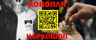 шишки Будённовск