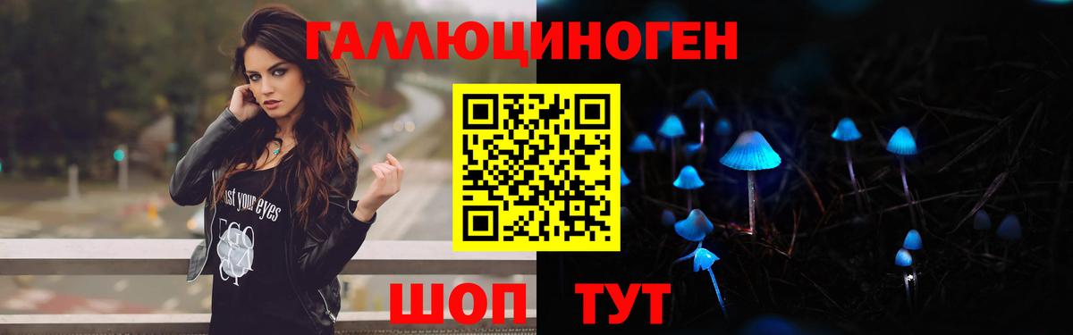 Галлюциногенные грибы Psilocybine cubensis Сосновоборск